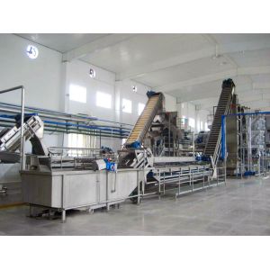 High Performance Customized Blueberry Processing Line Blueberry/Strawberry