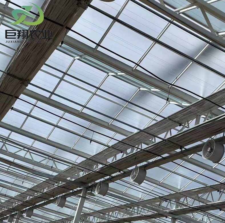 Vertical Farming Container Greenhouse with Substrate Culture System