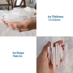 Ice Making Machines 2ton 2000kg Block Flake Industrial Ice Machine for Business