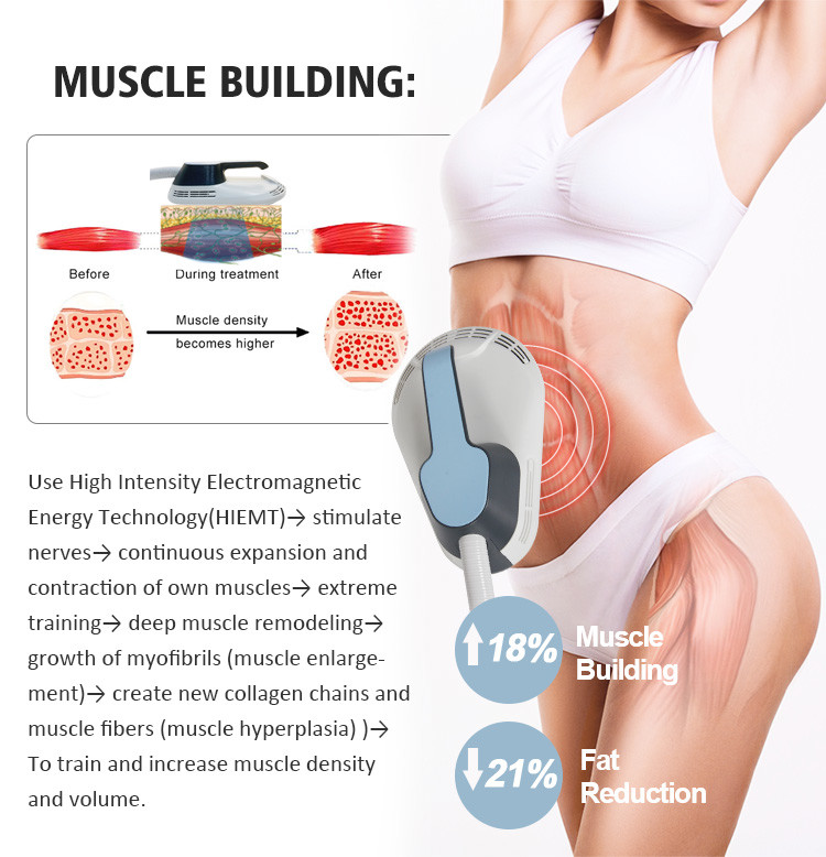 532 nm Diode Cold Laser Fat Removal Machine Fat Reduction Weight Loss Ems Body Slimming 10d LIPO LASER with EMS Machine