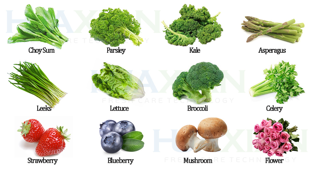 High Quality Fast Cooling Bitzer Compressor Pre Cooler, Fruit/Blueberry/Mushroom/Flower/Vegetable Vacuum Chiller