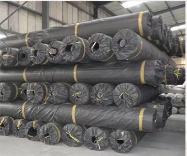 Outdoor Double Smooth Geomembrane for Fish Pond Liner and Landfill Sites Directly Sold