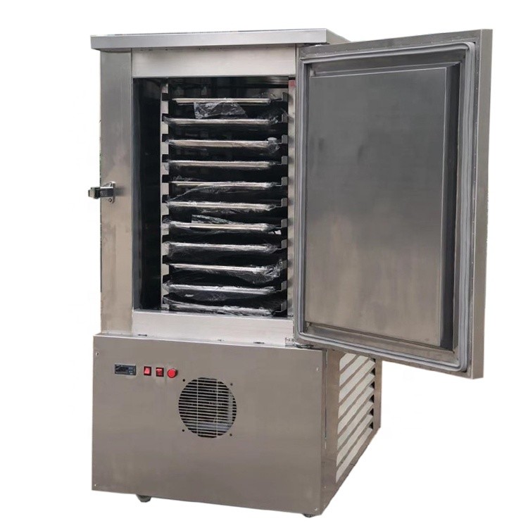 Compact 300L Air Blast Freezer Cold Plate Freezer Deep Freezer Commercial with Trolleys
