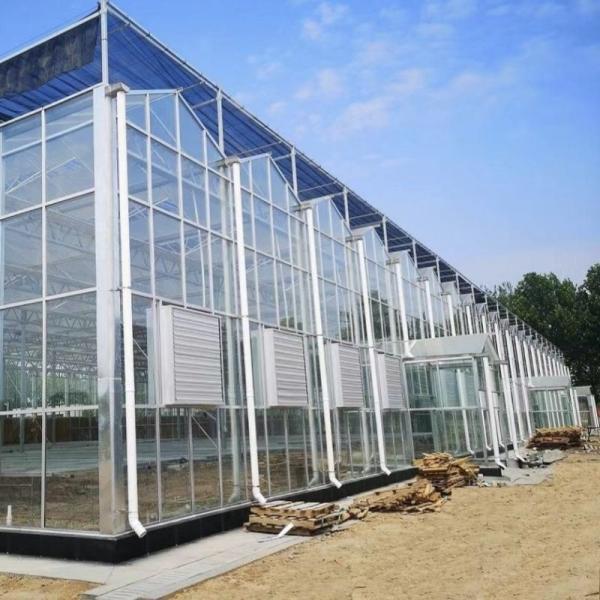 Customized Request for Drip Irrigation Glass Greenhouse Commercial Greenhouse