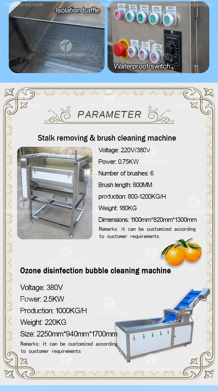 Citrus Stalk Eliminated Lemon Processing Machinery Industrial Air Bubble Brush