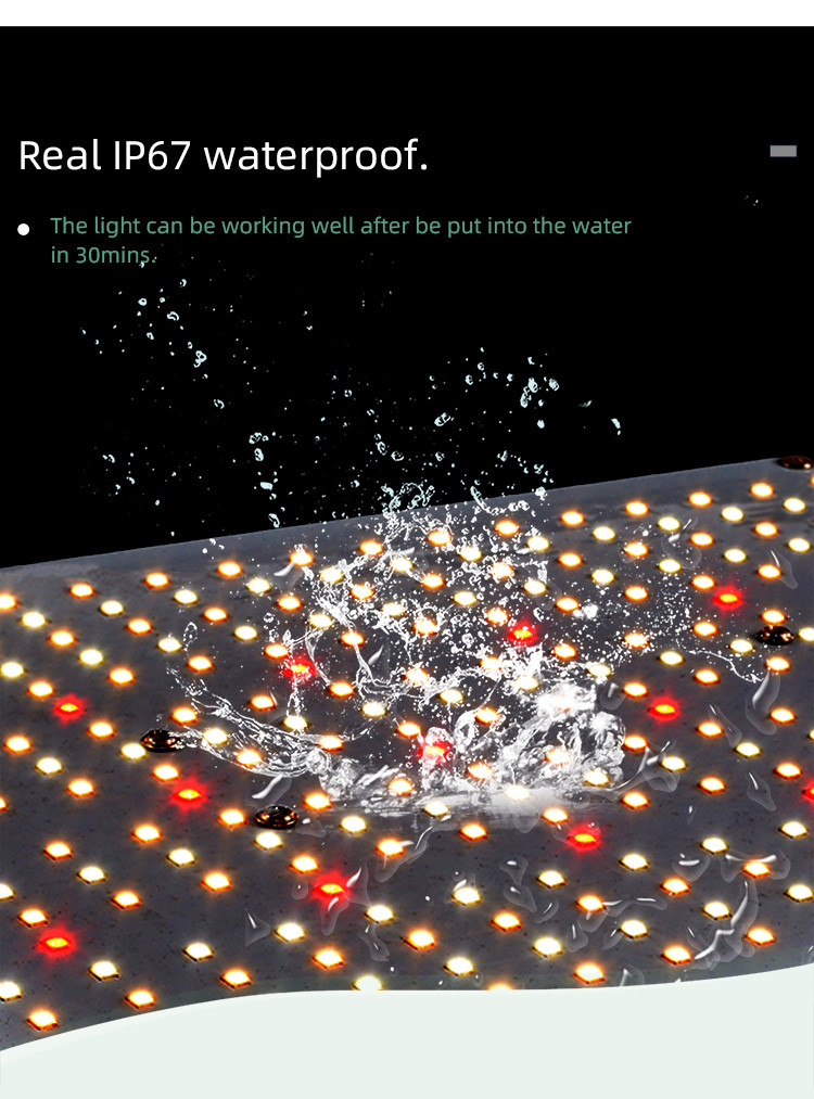 IP67 Waterproof 100W UV LED Grow Lights