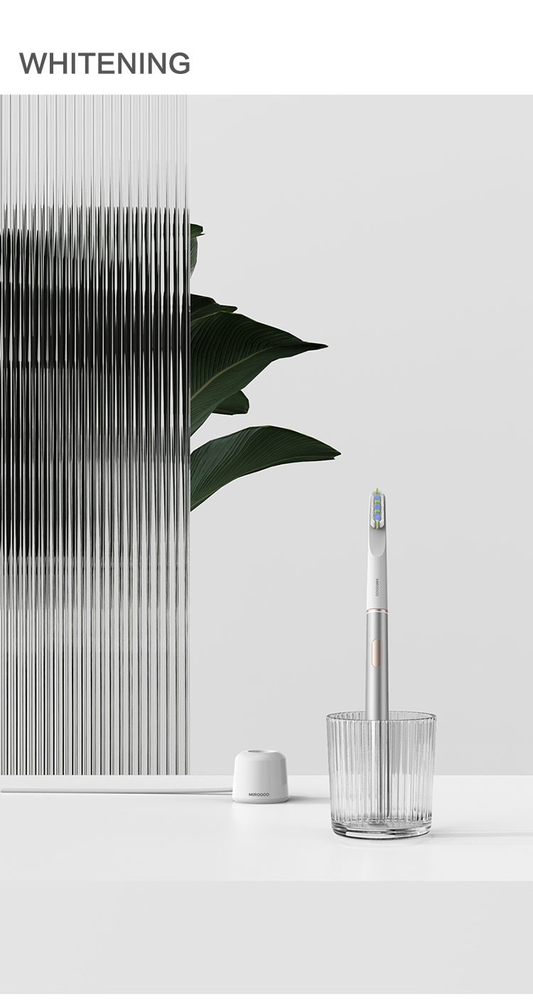 Custom LOGO Rechargeable Sonic Electric Toothbrush Battery Powered Waterproof