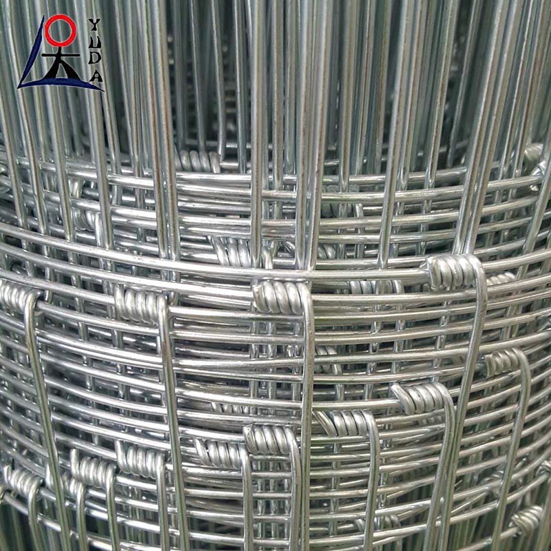Electro Galvanised Or Hot Dip Galvanised Field Fence Corrosion Resistant