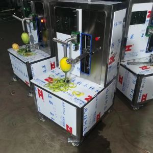 High Efficiency Commercial Mango Juice Making Machine Mango Juicer Production