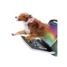Buy cheap Professional CW Ultrasound Medical Veterinary Equipment High Velocity Detection from wholesalers