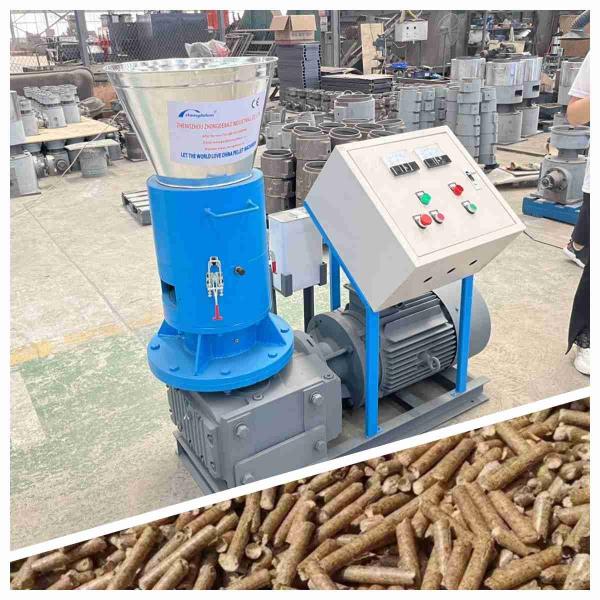 Rollers Rotated Industrial Pellet Machine 300kg/H 22kw Wood Biomass Pelletizer
