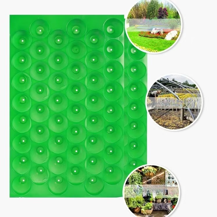 60 Cells Pp Vegetalble Plastic Seed Starting Trays Cold Resistant Portable