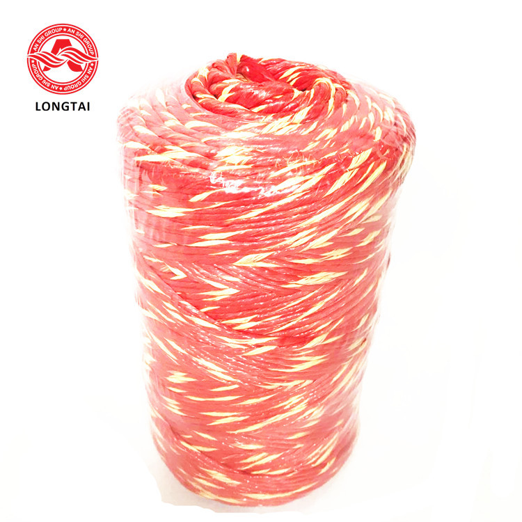 2 Strands Colorful PP Twine , NM4.6/2, NM4.8/2 High Tenacity Twisted PP Rope