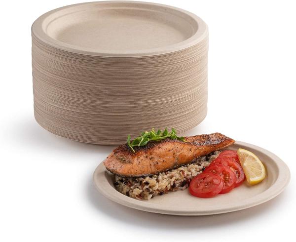 Quality Greaseproof Sugarcane Food Tray , Compostable Disposable Plates For Halloween for sale