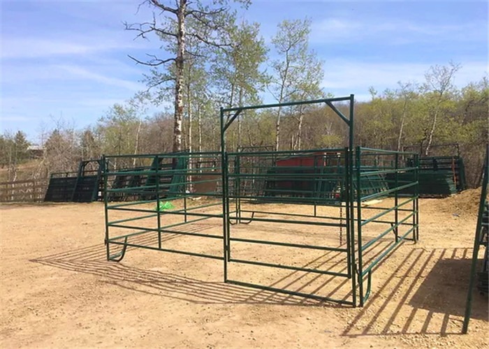 Long Lasting Powder Coating Heavy Duty Cattle Panel 1.8m X 2.1m