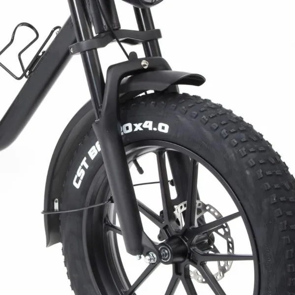 Adults Electric Fat Tire Bike 48V 500W 750W With 40km/H Max Speed Lithium Battery
