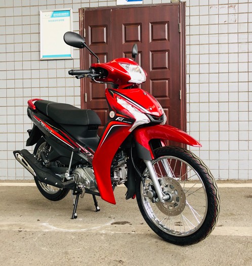 Brazil hot selling product for cheap sale 110cc cub mini motorbike