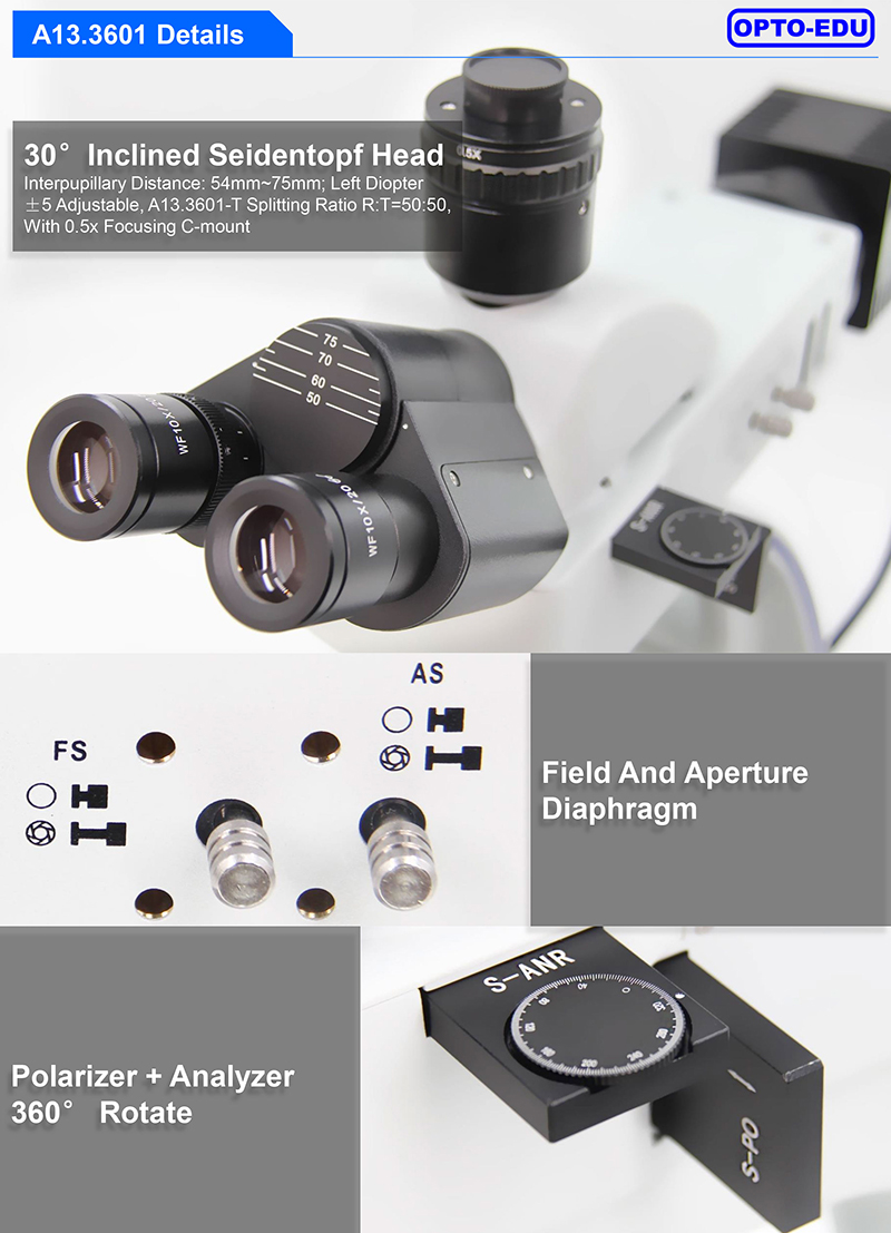 OPTO EDU A13.3601 Binocular Metallurgical Microscope Transmit And Reflect Light