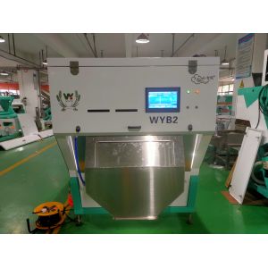 China Multi Function Belt Type Color Sorter For Cashew Nuts Garlic Chilli Walnut Sorting Process Machine on sale
