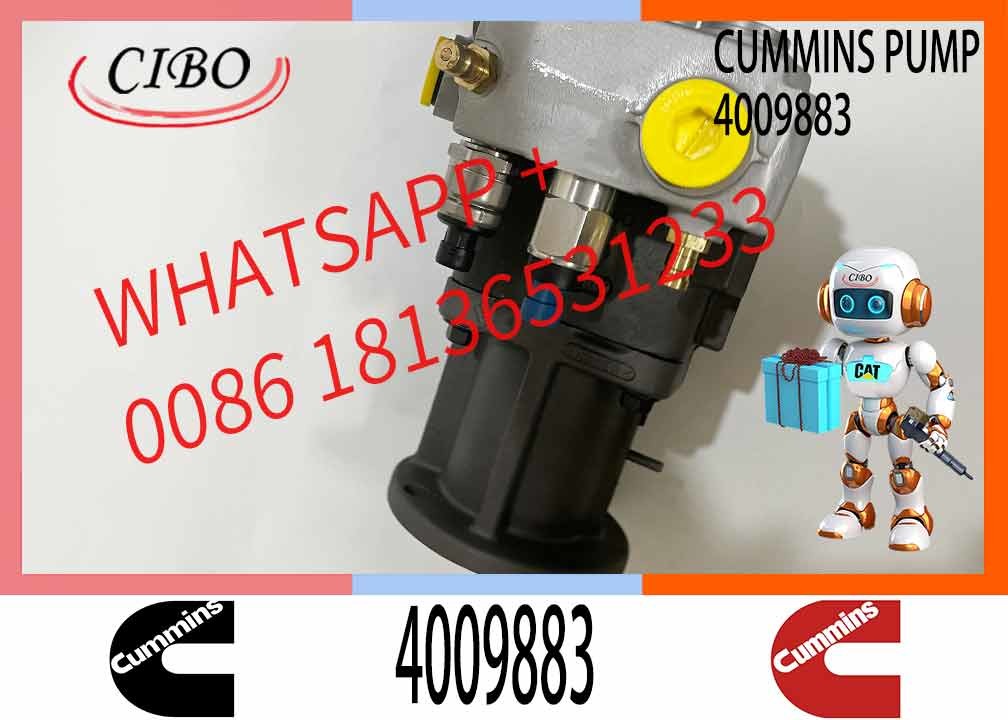 Engine parts QSK60 fuel injection pump 4088186 4307244 4062059 4009883 4001694 4903532 2897671