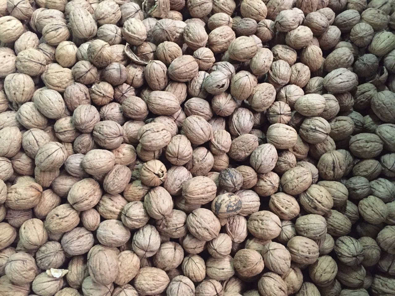 Automatic Walnut Cashew Sorting Machine Processing Machine RGB Color Sorter