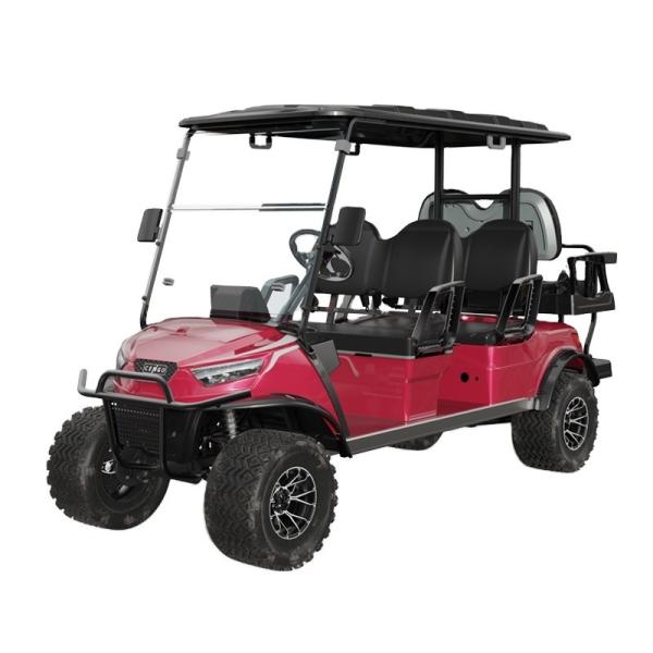 Street Legal Golf Cart NL-JA4 2.G Electric Buggy for Sightseeing Club 10%