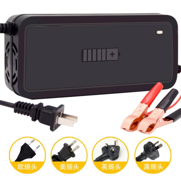 PC Fireproof Material 12v 24v 36v 48v 6a 8a 10a 12a 15a 20a Smart Repair Charger