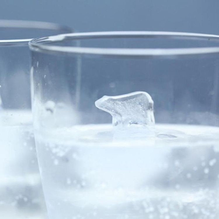Household Durable Eco-friendly Food Grade Custom Silicone Cuboid Ice Tray