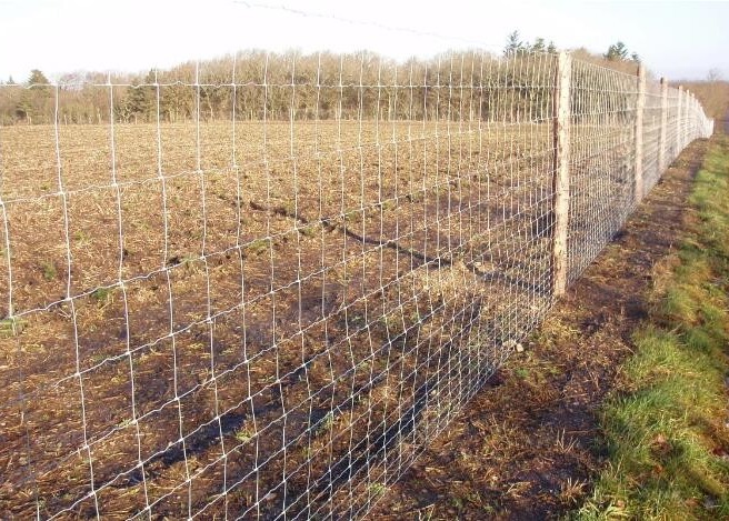 90cm Height Hot Dip Galvanized Farm Wire Fencing For Cattle