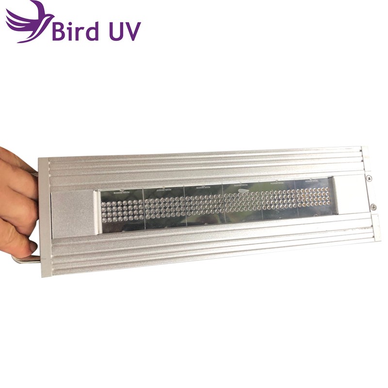 395nm UV Conveyor System