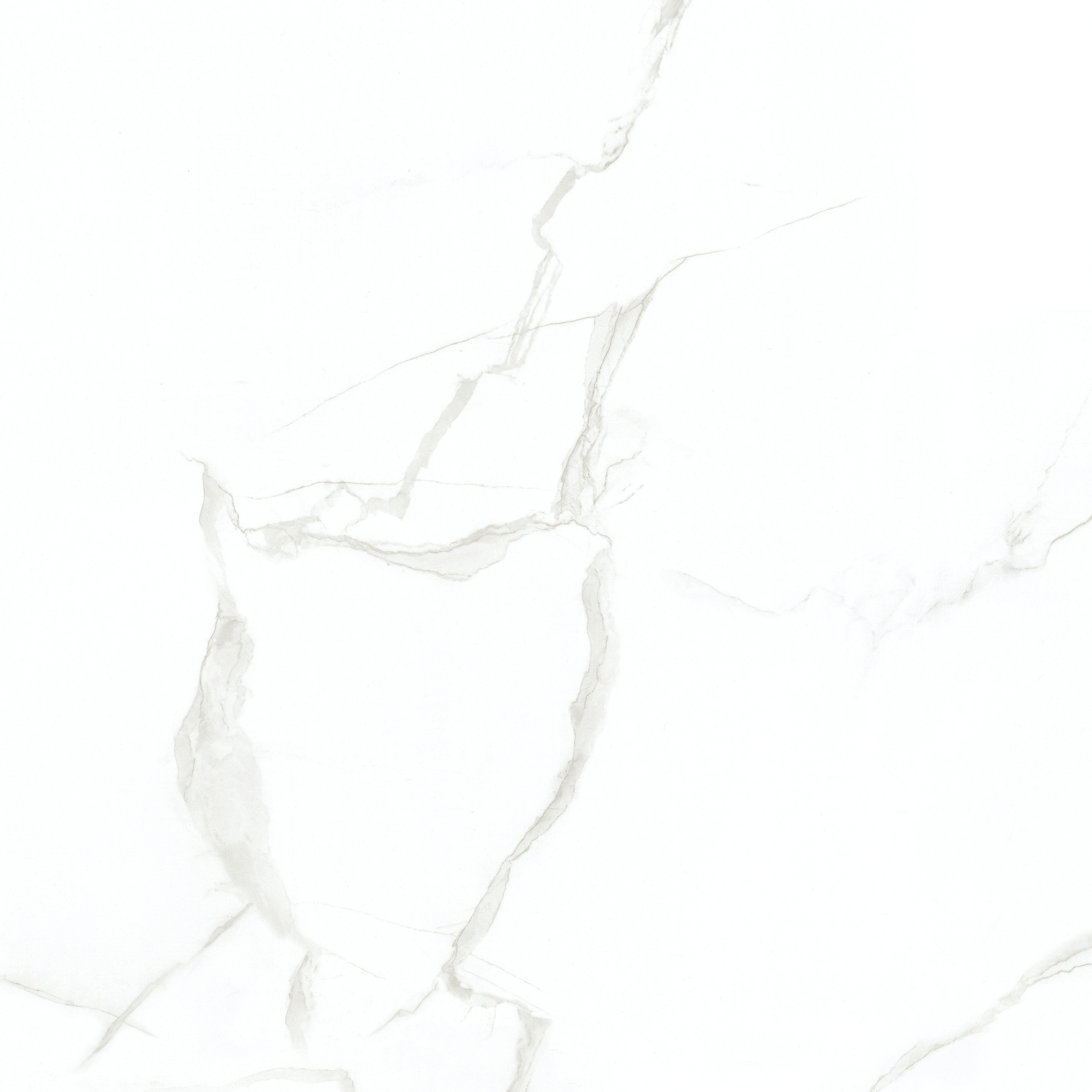 800x800 1200x600 Glazed Ceramic Tiles For Interior Floor And Wall