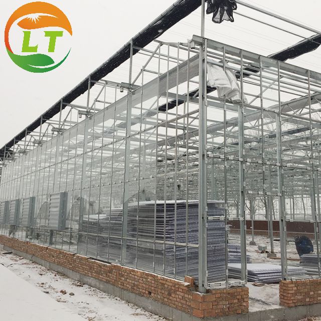 Multi-Span Agricultural Greenhouses with Hot-Dip Galvanized Steel and Smart System