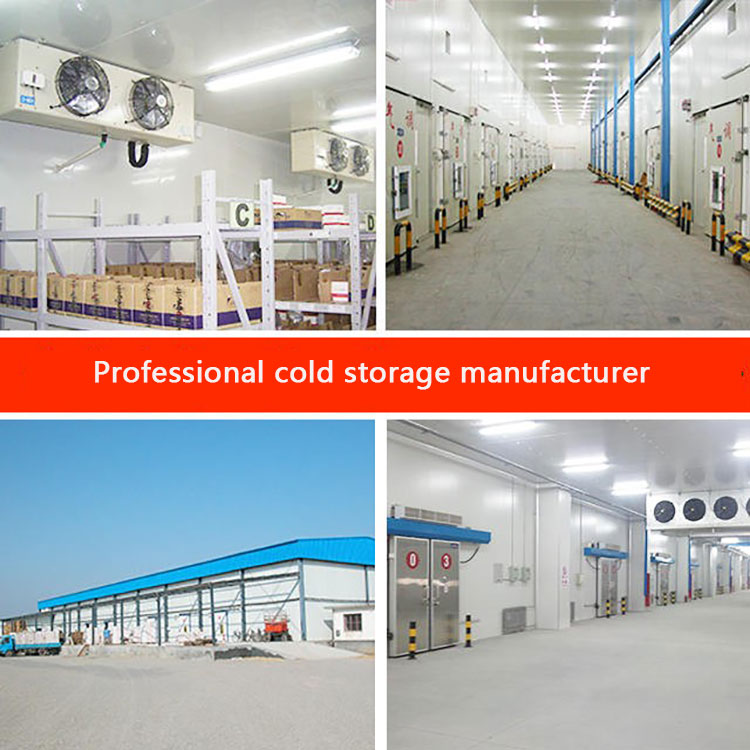 800ton Walk In Cold Chamber Freezer Cold Room For Chicken Beef Meat
