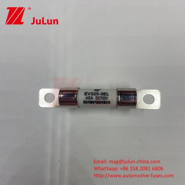 Protection EV Electric Vehicle Fuse Power Conversion 15A 30A 25A 750VDC 10x38 EV