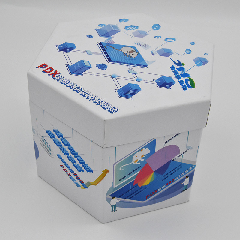 Sexangle Hexagonal Gift Box