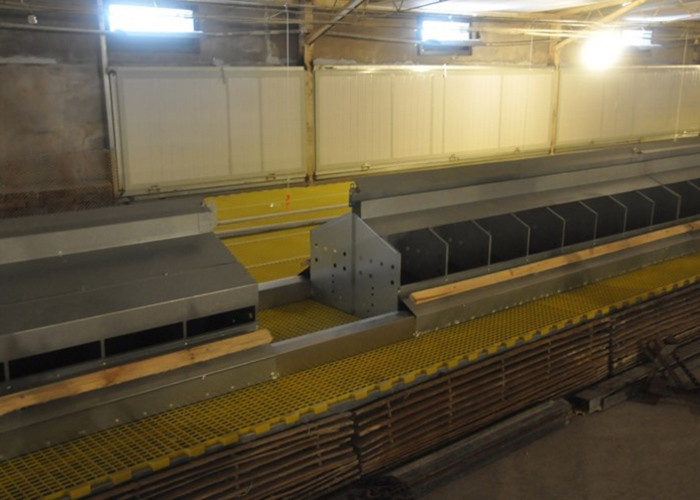 Separated Hole Poultry Egg Collection System 2.44m Length For Breeder Farm