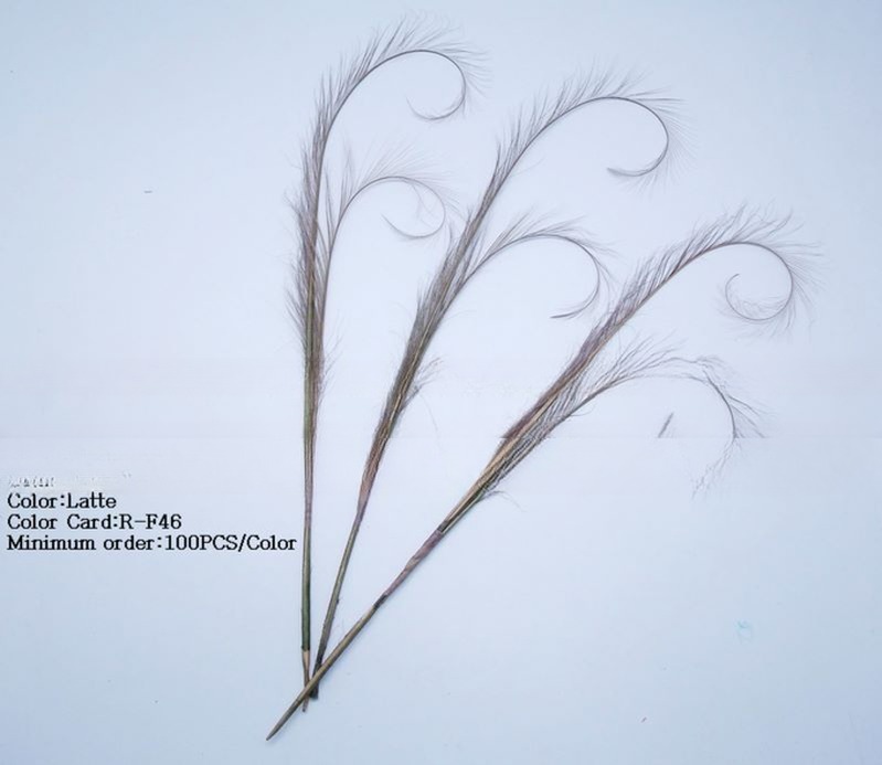 Unique Pattern Dyed Burnt Curly Ringneck Pheasant Tail Feather for Event Party Supplies