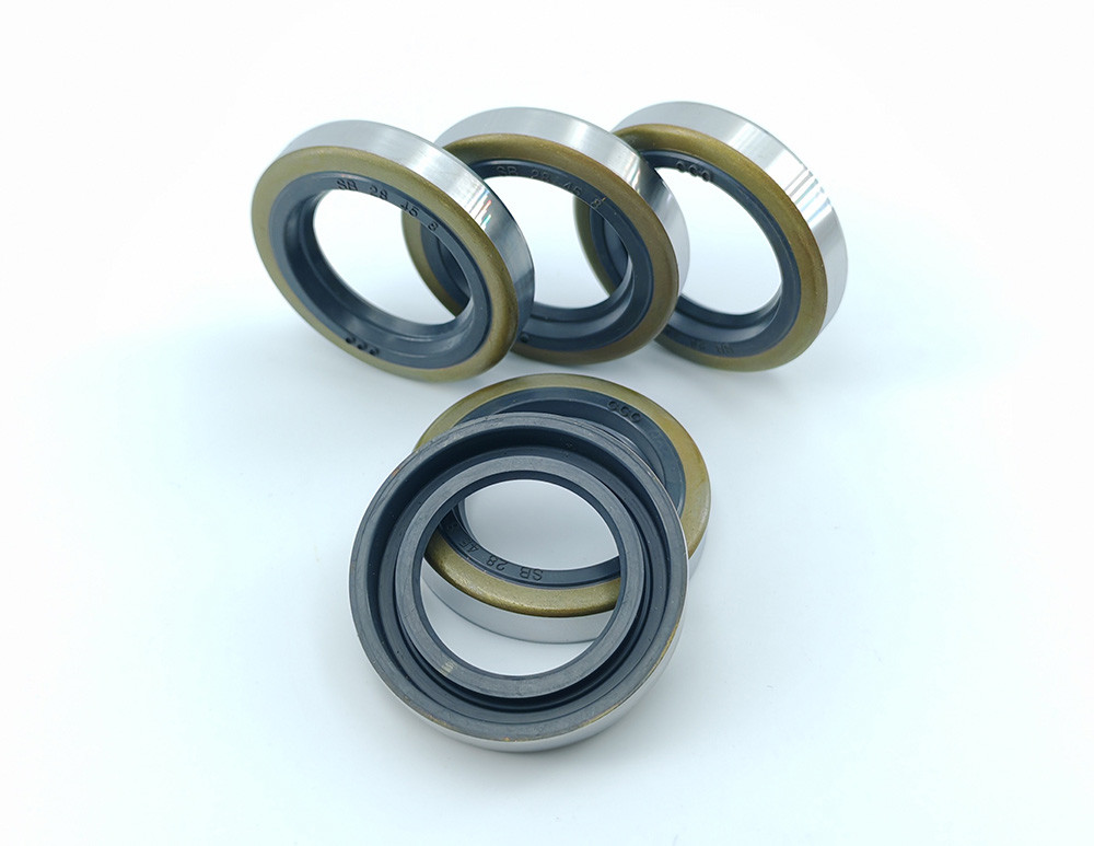 Gear Reducer SB Oil Seal Mechanical Oil Ring Sealer
