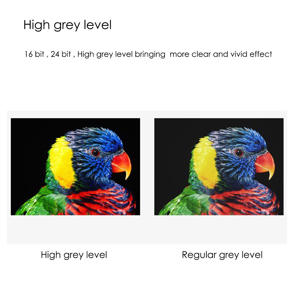 Ultra High Refresh Rate HD LED Display P1 P0.9375 , LED Video Wall Screen High Contrast Rate
