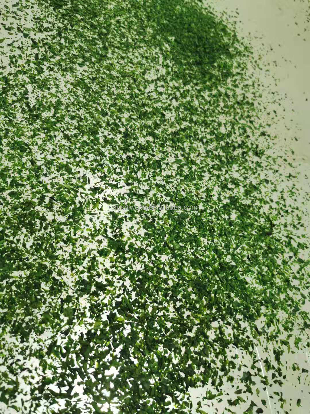 Processed Seasoned Dried AOSA Aonori Ulva Flakes with Normal Ingredients
