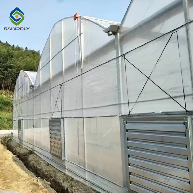 Galvanized Steel Hoop Style Greenhouse Single Span Tunnel Strawberry Greenhouse