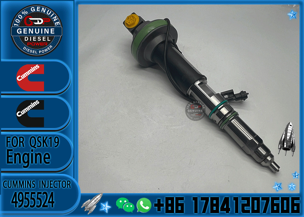 4964170 Diesel QSK19 Engine Common Rail Fuel Injector 4955524 2867149 4955527 2882079 4964173