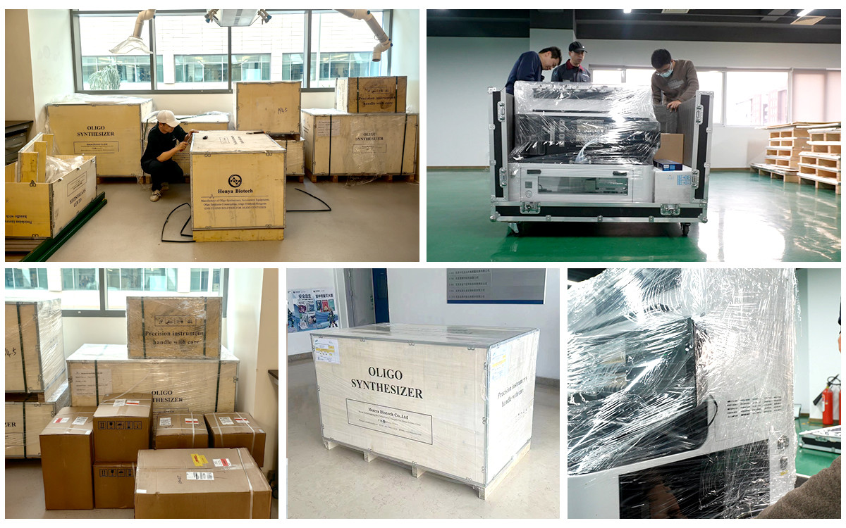 HY-192 Oligonucleotide Synthesizer For DNA RNA LNA Modified Oligos