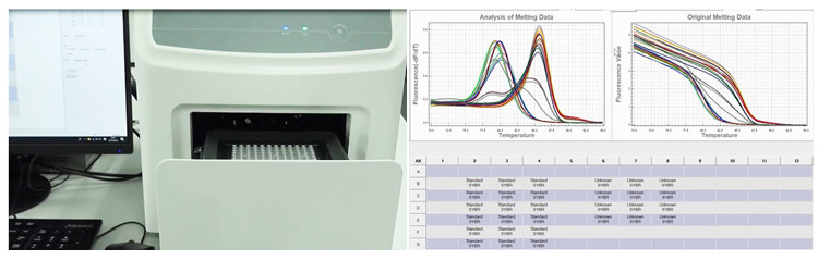 Bonnin High Efficiency Real Time PCR System 10 To 50μL Molecular Biology Diagnosis
