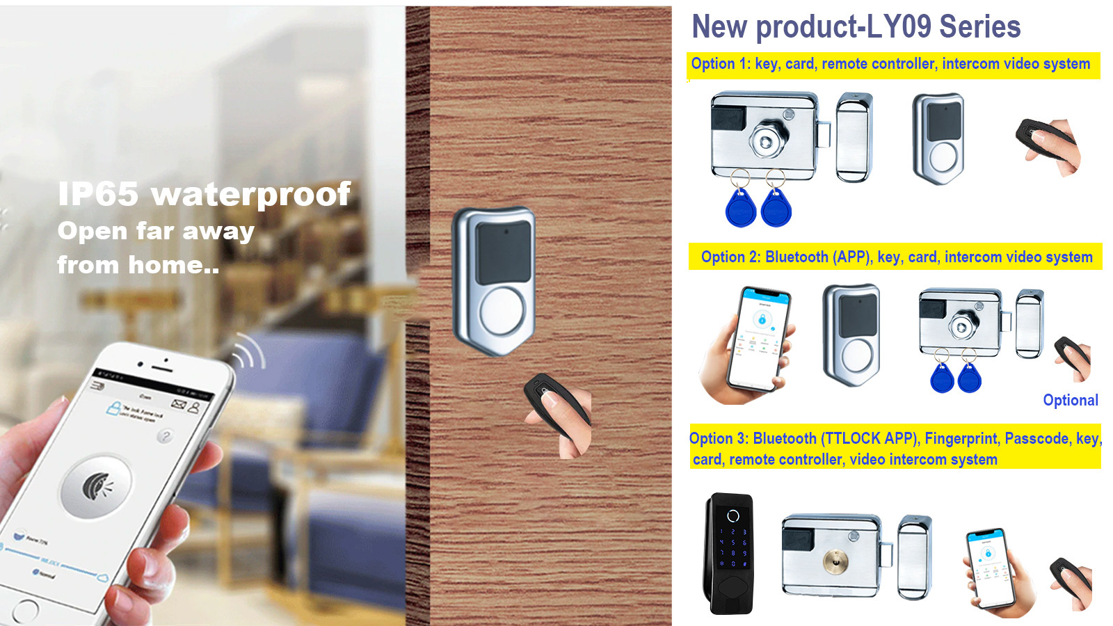 LY09 SMART electric remote control anti-theft outdoor metal door lock