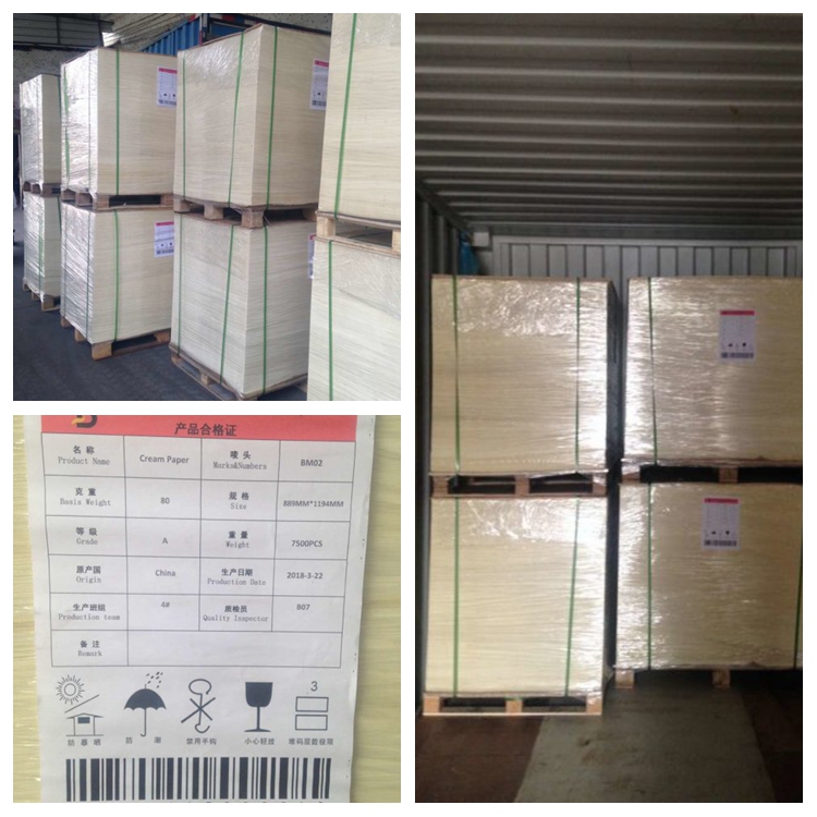 color offset paper, color bond paper, bristol paper board, cream paper, beige writing paper