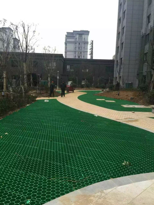 Tenglu Parking Lot and Driveway 500mm HDPE Grass Paving Grids in Plastic Material