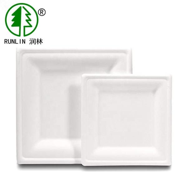 18g 20g Biodegradable Sugarcane Bagasse Plates Disposable Paper Tableware For