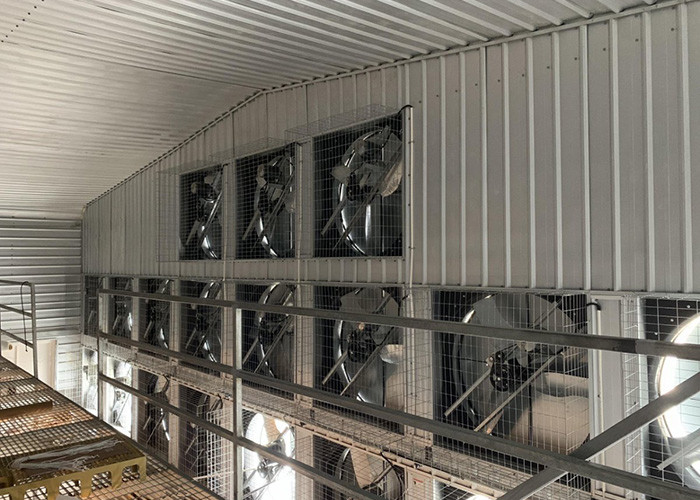 Climate Controlled Poultry Farming Structures For Chicken ISO9001