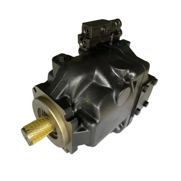 9880301 Construction Machinery Hydraulic Pump Plunger Pump Assembly for Aerial